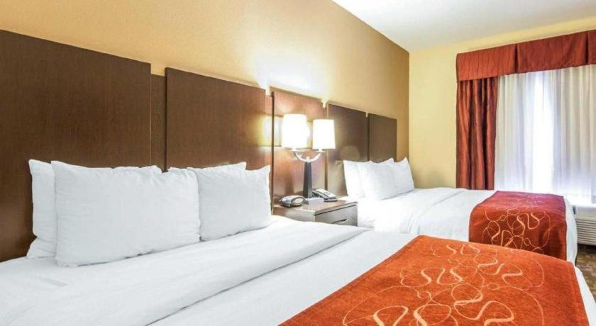 คอมฟอร์ต สวีท Hotel โรม ภายนอก รูปภาพ